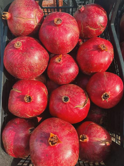 Pomegranate (Red) - Thumbnail 2