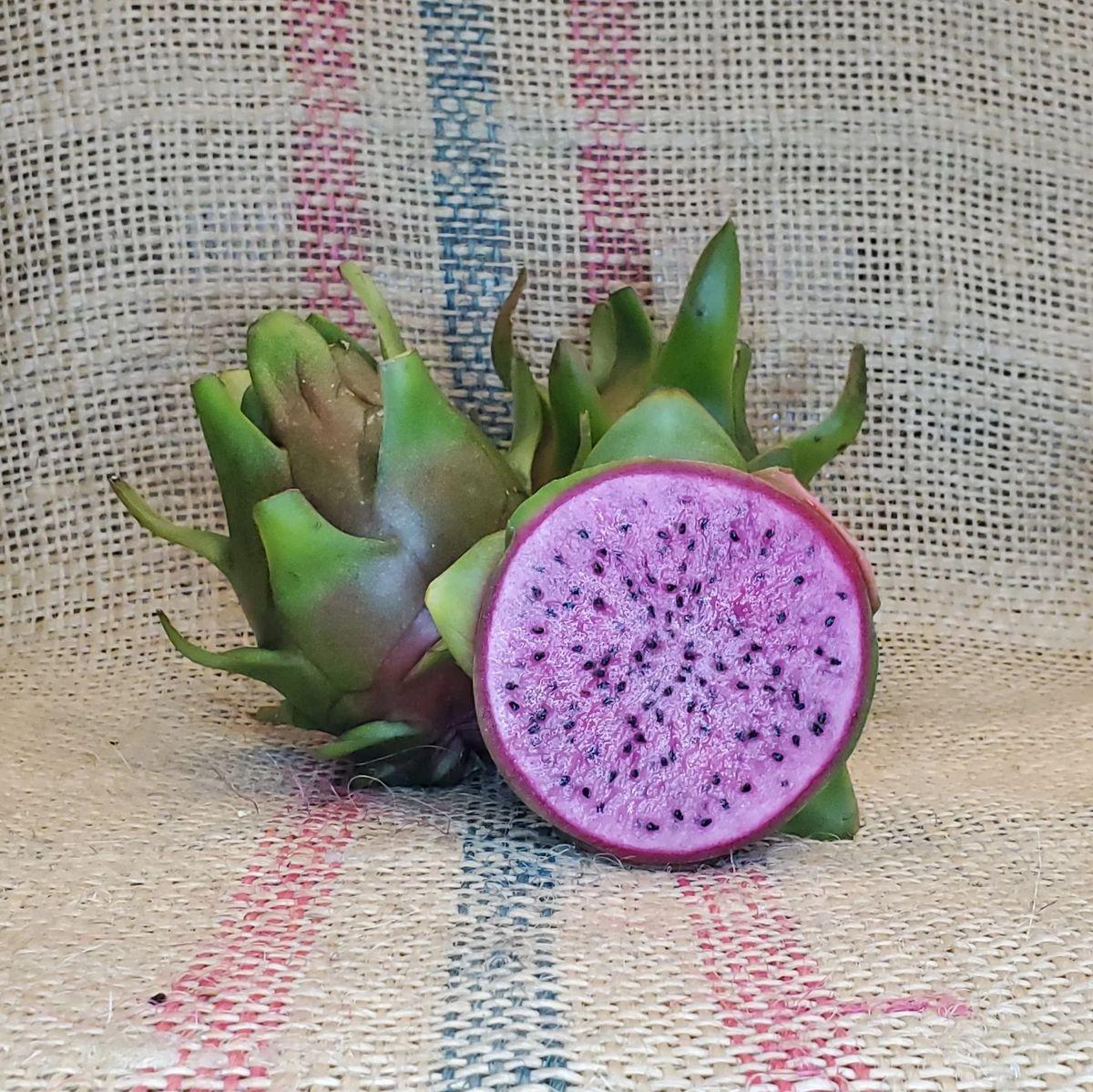 Edgar's Baby dragon fruit with vivid magenta flesh