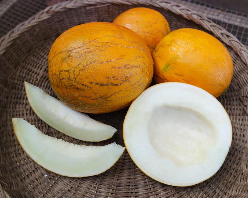 Kazakh Melon - Thumbnail 3