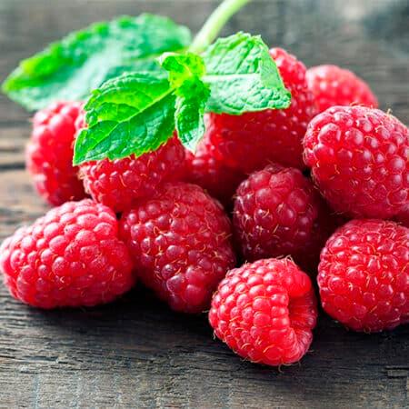 Nantahala Raspberry - Thumbnail 3