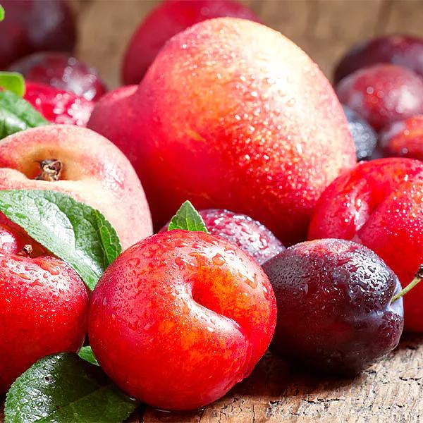 Top Hat Blueberry - Thumbnail 4