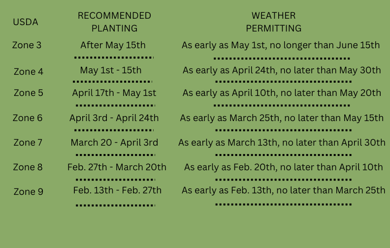 Von Blackberry - Thumbnail 2