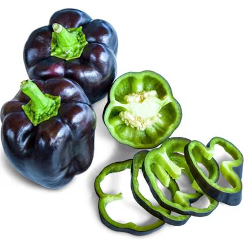 Purple Beauty - Image 1